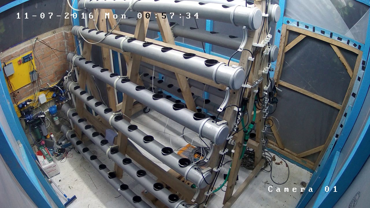 bubblestack Live Stream