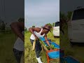 JOGO LA SHAMBA LINAWIKA MJINI MTOTO MDOGO MWENYE PESA MINGI