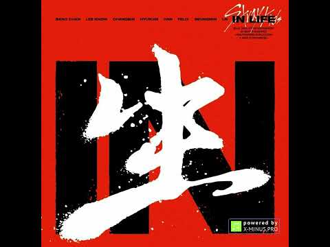 Stray Kids Back Door Clean Acapella 