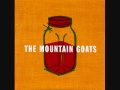 The Mountain Goats - Store