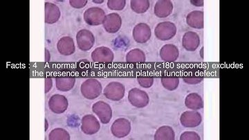 PFA-100 Top  #7 Facts