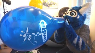 LIVE - Popping Balloons feat. Heat-Stretched Intex Whale