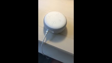 How to Use your Echo Dot for Shopping Lists