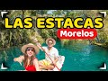 Video de Morelos