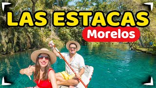 LAS ESTACAS Morelos ► WHAT TO DO? How much does it COST? 🔴 NATURAL PARK near CDMX 🇲🇽 GLAMPING screenshot 5