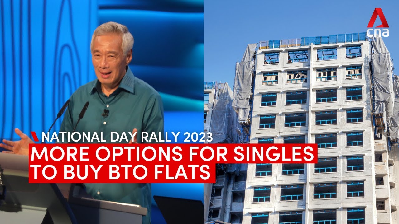 National Day Rally 2023: More options for singles to buy BTO flats ...