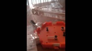 Hex bug nano v2 infinity loop