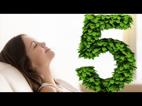 5 النباتات يجب أن يكون في غرفة نومك