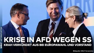 KRISE IN AFD: Äußerung zur SS! Maximilian Krah zieht sich aus Europawahl und Vorstand zurück