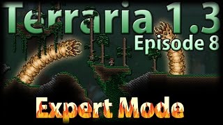 Terraria 1.3 Expert Mode - Episode 8 - Bad Luck Baum Strikes Again