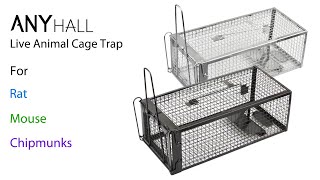 Full Anyhall Humane Chipmunk Rat Traps (AH-2RN) News