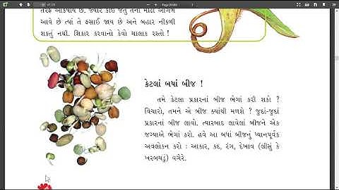 Std 5 ParyaVaran Aspas Ch 5Part 2 Shreemad Dayanand Kanya Vidyalaya Jamanagar