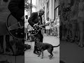 No Home No Peace | A Soulful Midnight Blues Ballad About Pain and Redemption #bluesmusic