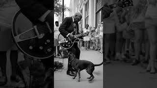 No Home No Peace | A Soulful Midnight Blues Ballad About Pain and Redemption #bluesmusic