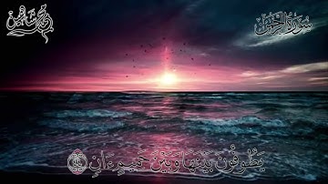 سورة الرحمن | محمد شاهين