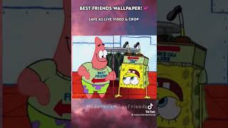 Best Friend Live Wallpaper| Hayley Bakes!