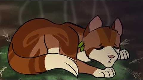 Burned Out ~ Leafpool PMV MAP pt. 13 ~ Warriors