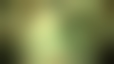 Posteriorly dislocated IOL/Bag complex repair/Yamane ISHF by Steven G. Safran MD