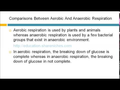 What is the difference between fermentation and anaerobic respiration?