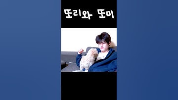 귀여움+귀여움=기절 엔딩 #RIIZE #라이즈 #SOHEE #소희