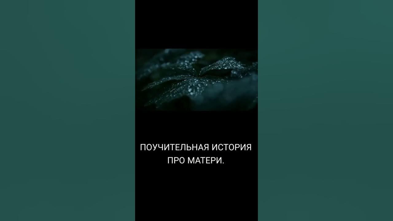 глотка поучительная история. интересные и поучительные истории. "жили-были джим и билли". поучительные истории. лавлейс глубокая 1972.