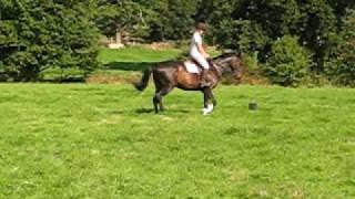Rocky Flatwork