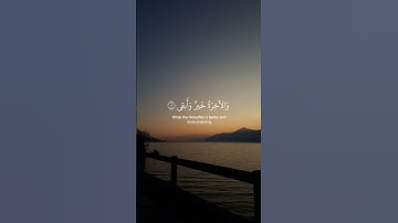 ﴿قَد أَفلَحَ مَن تَزَكّى﴾ سورة الأعلى | القارئ عبدالرحمن مسعد 🤎☘️