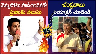 మాటకు మాట: CM YS Jagan Vs Chandrababu Naidu | AP Elections 2024 | TDP vs YSRCP | SocialPost Tv