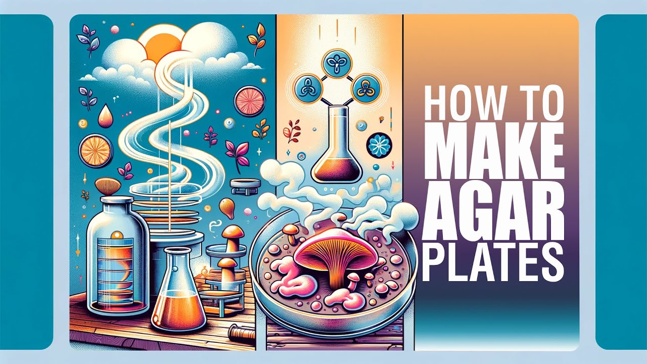 How to make, sterilise and pour agar plates for cloning mushrooms