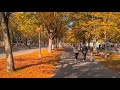 Vienna Walk, 2nd District Leopoldstadt, Prater, October 2023 | 4K HDR