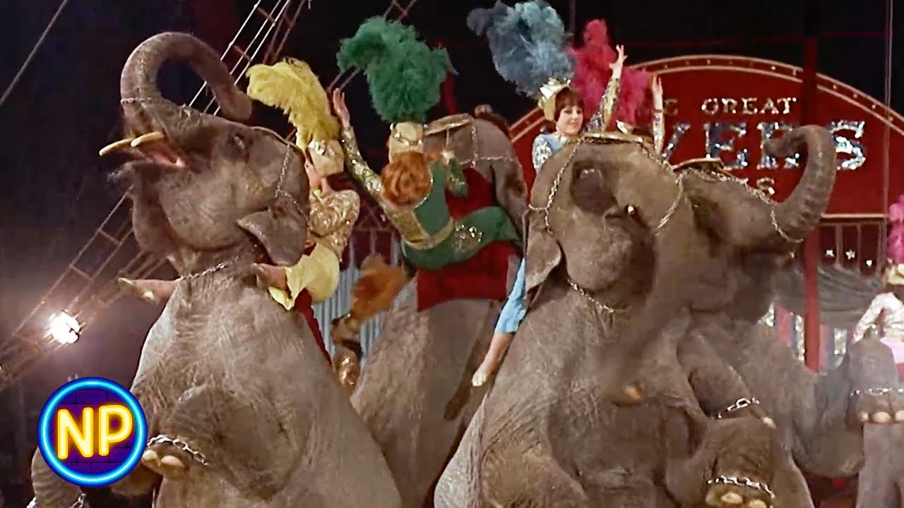 Elephant Act | Berserk (1967) | Now Playing