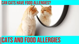 Can Cats Develop Allergies to Certain Foods? by Purrfect Paws 32 views 2 months ago 5 minutes, 47 seconds