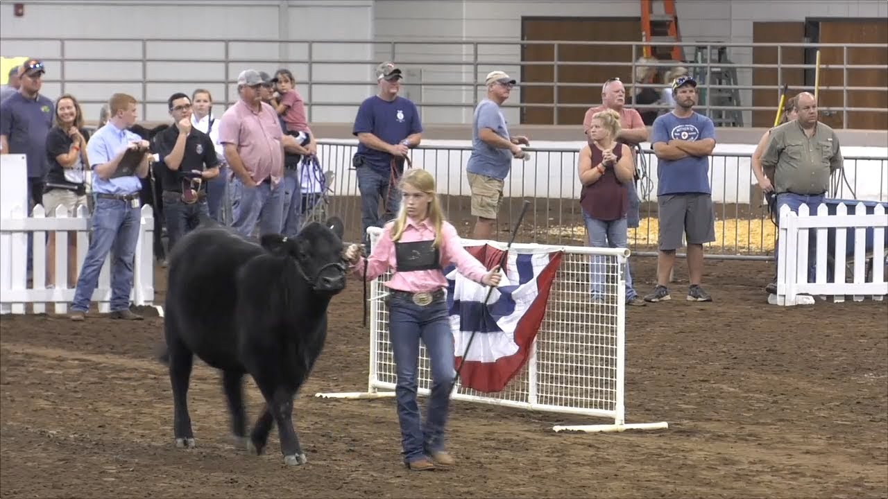 Georgia FFA & 4-H Students Shine During Jr. National Livestock Show