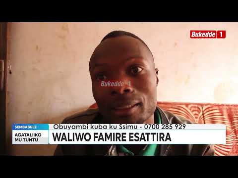Ttuntu Famire Etubidde N Omulwade W Omutima Betaaga Obukadde Obusoba 20 Okulongosebwa 