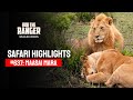 Safari Highlights #637: 16 & 17 Sep 2021 | Maasai Mara/Zebra Plains | Latest Wildlife Sightings