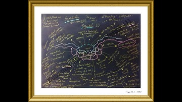 Structural coupling and the in-between space where Symbols2.0 form.