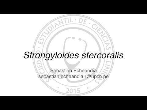 Video: ¿El strongyloides stercoralis es zoonótico?