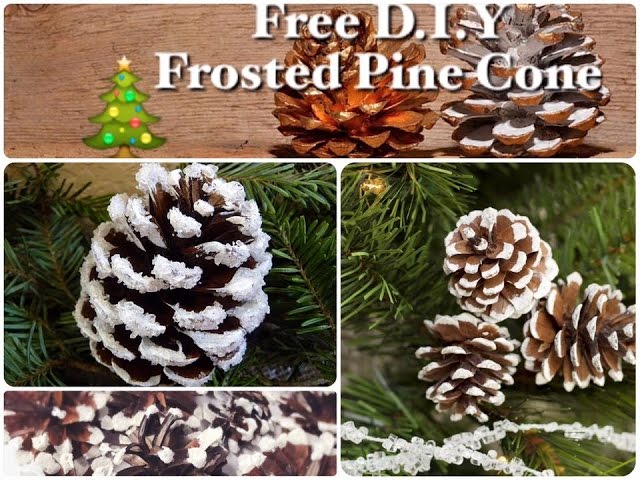 Posed Perfection: DIY Snow Frosted Pine Cones Tutorial