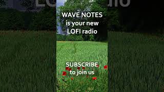 Pure Vibes Only - Lofi Music to Study, Work, &amp; Relax #shorts