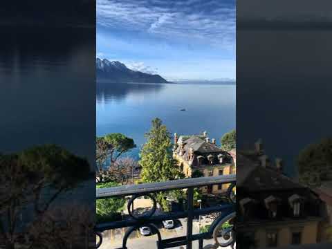 Switzerland // #shorts #short // #nature #switzerland