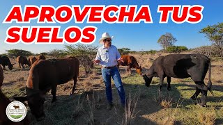 USA TUS TIERRAS | Rancho Cinco Talentos | Ganadería | Zacatecas