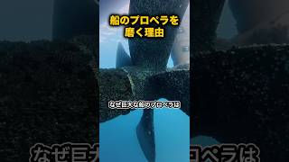 船のプロペラがピカピカ過ぎる