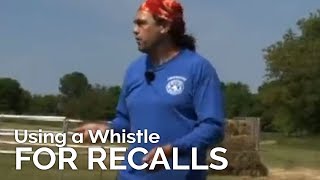 Using a Whistle for Recalls with Michael Ellis