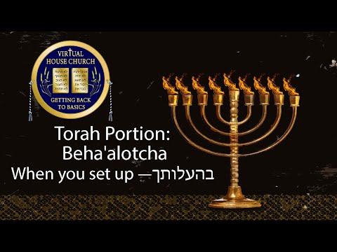 2021 Virtual House Church - Bible Study - Week 36: Behaalotecha