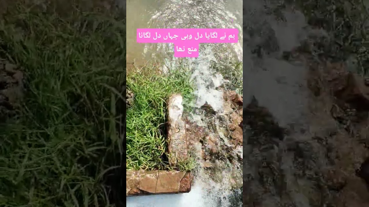 دل لگانا منع ہے | Dil lagana Mana ha