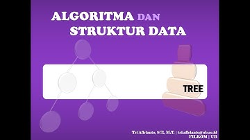 8 TREE_3_Traversal Binary Tree