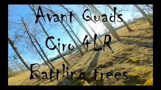 Avant Quads Ciro 4Lr - Battling Trees