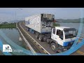 Royal cargo  specialized logistics services