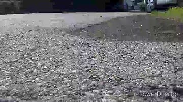 The Grasshopper candy green edition !!!