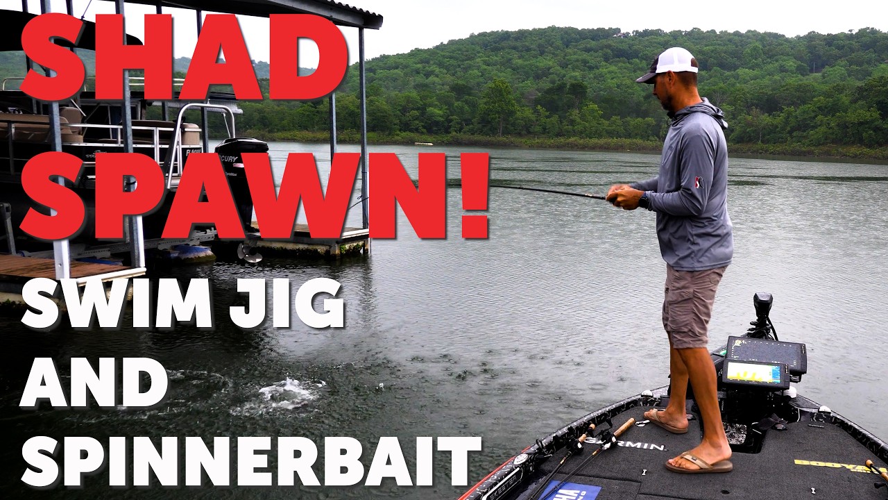 How to Catch Bass on Docks During the Shad Spawn (Swim Jig & Spinnerbait Breakdown)